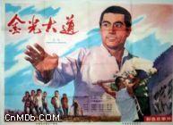 金光大道[中國大陸電影]