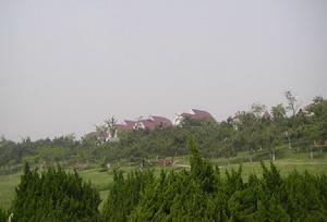 石家莊外事職業學院