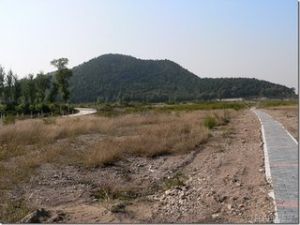 唐指山水庫 唐指山水庫