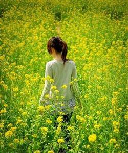 芸心芹意 芸心芹意