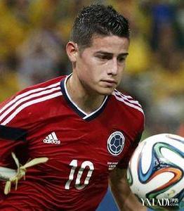 D·洛迪古斯 D·洛迪古斯