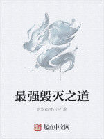 最強毀滅之道 最強毀滅之道