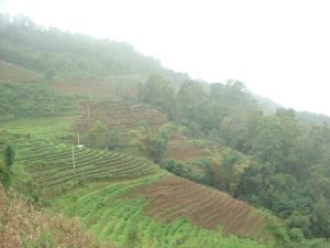 下著落自然村 下著落自然村