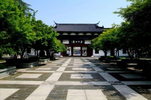 婺州公園 婺州公園