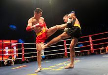 伊·皮洛 伊·皮洛