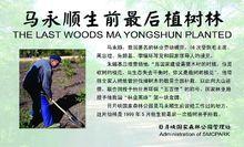 馬永順生前最後植樹林