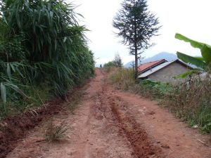 水草箐自然村 水草箐自然村