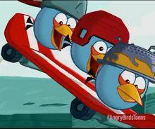 Angry Birds toons