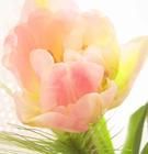 策略性知識 策略性知識