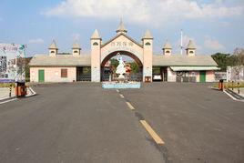 百萬花海 百萬花海