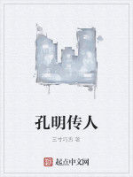 孔明傳人 孔明傳人