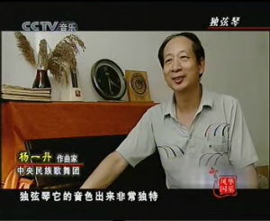 楊一丹(中央電視台《風華國樂》)