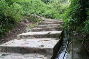 新虎丫口村 新虎丫口村