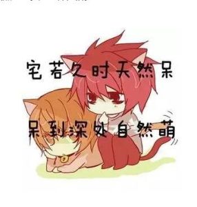 天然呆[網路流行語]