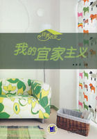 《我的宜家主義》 《我的宜家主義》