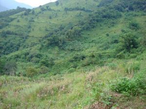 老刀寨自然村 老刀寨自然村