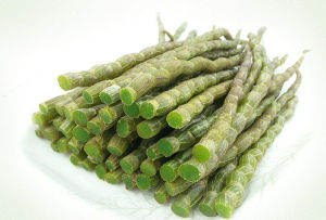 七境堂鐵皮石斛 七境堂鐵皮石斛