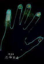 不厭其煩[陳綺貞處女作]