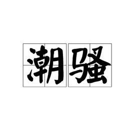 潮騷[日語詞語]