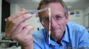 牛肉絛蟲最長能夠在莫斯利體內長到10米