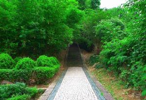 霞浦南峰山 霞浦南峰山