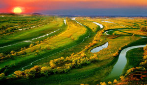 洪河國家級自然保護區 洪河國家級自然保護區