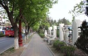 重慶路街道 重慶路街道