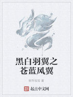 黑白羽翼之蒼藍風翼 黑白羽翼之蒼藍風翼