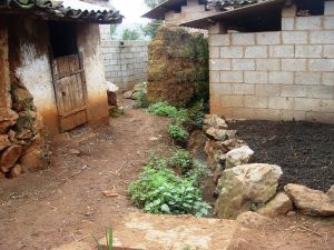 白車務村 白車務村
