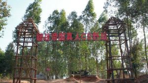 沃凱真人CS 沃凱真人CS