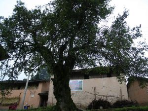 小比舍村 小比舍村