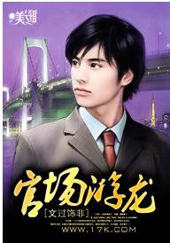 官場游龍 官場游龍