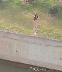 1·12南京裸女跳河事件 1·12南京裸女跳河事件