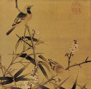 橙腹梅花雀 橙腹梅花雀