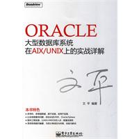 Oracle大型資料庫系統