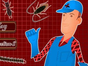 雜貨鋪找昆蟲 雜貨鋪找昆蟲