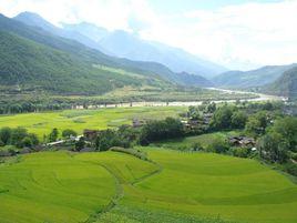 塔城村委會 塔城村委會