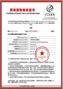 深圳市式佳服裝廠COM國際域名認證