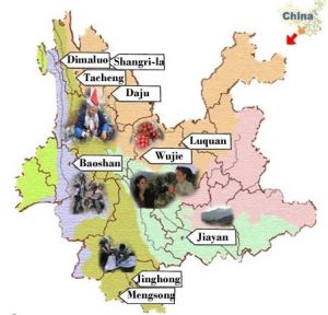 雲南省生物多樣性和傳統知識研究會活動區域