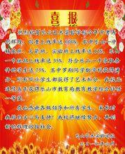 樂山藝術實驗學校2012年中考喜報