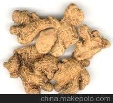 辛溫解表 辛溫解表