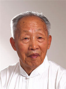 張國森[武術家]