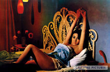 胡燕妮《欲燄狂流》