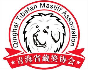 青海省藏獒協會