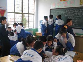 小組合作 小組合作