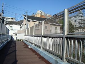 白金棧道橋 白金棧道橋