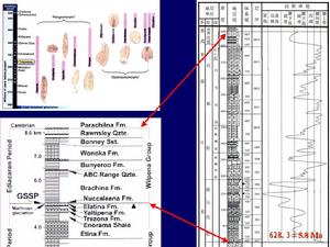 綜合柱狀剖面圖 綜合柱狀剖面圖