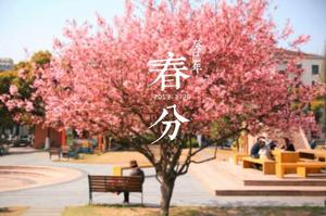 節氣[特定節令]