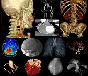 西安盈谷科技有限公司 西安盈谷科技有限公司