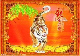 虎年 虎年